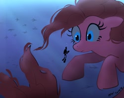 Size: 2048x1623 | Tagged: safe, artist:petaltwinkle, pinkie pie, earth pony, fish, human, pony, seapony (g4), g4, bubble, crepuscular rays, female, fish tail, flowing mane, flowing tail, giant pony, macro, mare, ocean, scales, scuba diving, scuba gear, seaponified, seapony pinkie pie, signature, silhouette, solo focus, species swap, sunlight, swimming, tail, underwater, water