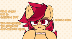 Size: 1788x984 | Tagged: safe, anonymous artist, oc, oc:swing shift, bat pony, pony, bat pony oc, ear tufts, eyes open, female, female oc, looking at you, mare, mare oc, messy mane, pony oc, pregnancy test, pregnant, red eyes, simple background, solo, talking, talking to viewer, text