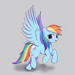 Size: 4000x4000 | Tagged: safe, artist:nnaly, rainbow dash, pegasus, pony, g4, absurd resolution, blushing, cute, dashabetes, female, gray background, looking at you, mare, open mouth, open smile, signature, simple background, smiling, smiling at you, solo, spread wings, wings