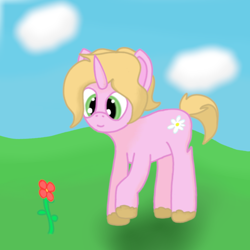 Size: 798x798 | Tagged: safe, artist:auro, daisy, flower wishes, oc, oc only, pony, unicorn, g4, cloud, flower, grass, grass field, horn, reaching, rose, simple shading, sky, solo, unicorn oc