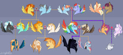 Size: 1335x599 | Tagged: safe, artist:lesghostie, bow hothoof, bulk biceps, diamond tiara, dumbbell, lightning dust, mane allgood, rainbow dash, scootaloo, snap shutter, spitfire, stormy flare, thunderlane, wind rider, windy whistles, oc, oc:astral dash, oc:cloudy ash, oc:ivy tempest, oc:lightning sunbeam, oc:midnight twilight, oc:spectral phoenix, earth pony, pegasus, pony, g4, adopted offspring, colored wings, dumbdash, family tree, female, lesbian, male, mare, multicolored wings, offspring, older, older diamond tiara, older scootaloo, parent:bulk biceps, parent:dumbbell, parent:lightning dust, parent:rainbow dash, parent:spitfire, parent:thunderlane, parents:dumbdash, parents:scootiara, parents:thunderdust, rainbow wings, ship:maneshutter, ship:scootiara, ship:windyhoof, shipping, stallion, straight, thunderdust, wings