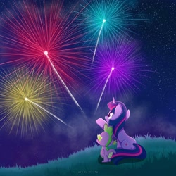 Size: 3000x3000 | Tagged: safe, artist:nnaly, spike, twilight sparkle, dragon, pony, unicorn, g4, butt, duo, duo male and female, female, fireworks, grass, grass field, high res, horn, male, mare, night, night sky, outdoors, plot, raised hoof, signature, sitting, sky, stars, unicorn twilight
