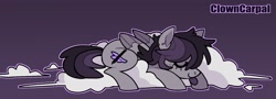 Size: 1611x582 | Tagged: safe, artist:clowncarpal, oc, oc only, oc:inky quills, pegasus, pony, cloud, male, on a cloud, purple background, simple background, sleeping, solo, stallion