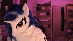 Size: 600x338 | Tagged: safe, artist:essorille, artist:vinylpone, dj pon-3, vinyl scratch, human, unicorn, anthro, g4, absurd file size, animal costume, animated, bedroom, blue mane, blurry background, chest fluff, clothes, cosplay, costume, cute, door, equine, female, furry, fursuit, gif, gloves, hand, hoodie, indoors, irl, irl human, looking at you, mare, night, photo, ponysuit, purple eyes, roleplay, ruffled hair, shelf, shoes, solo, webcam, window