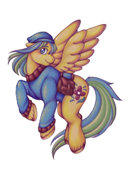 Size: 600x825 | Tagged: safe, artist:therabbitfollower, oc, oc only, oc:helpie hooves, pegasus, pony, bag, clothes, flying, medical saddlebag, simple background, solo, sweater, transparent background