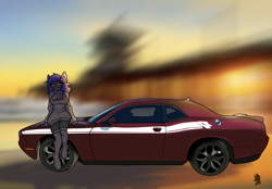 Size: 2360x1640 | Tagged: safe, artist:v-nuz, oc, oc:paladin ash blossom, anthro, unguligrade anthro, car, clothes, dodge (car), dodge challenger, grin, hoodie, lidded eyes, looking at you, sitting, smiling, socks, sunset, thigh highs