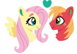 Size: 304x211 | Tagged: safe, artist:artinandwritin8, big macintosh, fluttershy, earth pony, pegasus, pony, g4, female, male, mare, ship:fluttermac, shipping, simple background, stallion, straight, transparent background