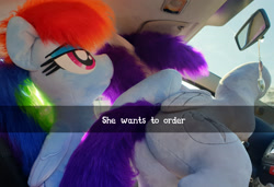 Size: 3321x2268 | Tagged: safe, artist:ponimalion, rainbow dash, oc, oc:morning glory (project horizons), pegasus, pony, fallout equestria, fallout equestria: project horizons, g4, bedroom eyes, butt, butt focus, car, car interior, duo, female, he wants to order, high res, interior, irl, lidded eyes, life size, mare, meme, photo, plot, plushie, selfie, smiling, tail