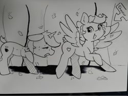 Size: 1024x769 | Tagged: safe, artist:taurson, oc, oc only, oc:coffee, oc:hors, pegasus, pony, unicorn, autumn, duo, duo male and female, falling leaves, female, grayscale, grin, leaves, male, mare, monochrome, smiling, spread wings, stallion, traditional art, wings