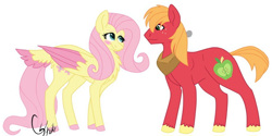 Size: 948x475 | Tagged: source needed, safe, artist:colourstrike, big macintosh, fluttershy, earth pony, pegasus, pony, g4, big macintosh's yoke, chest fluff, female, horse collar, male, mare, ship:fluttermac, shipping, simple background, stallion, straight, white background