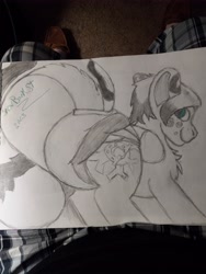 Size: 4608x3456 | Tagged: safe, artist:snowbankst, oc, oc:cold front, original species, diaper, diaper fetish, fetish, hybrid oc, monochrome, non-baby in diaper, pegakat, raised tail, signature, solo, tail, traditional art
