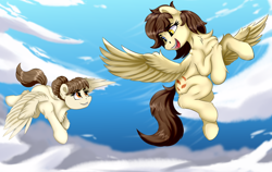 Size: 4150x2620 | Tagged: safe, artist:singovih, oc, oc only, oc:motley cloud, pegasus, pony, cute, eye contact, fallout equestria: parallelism, female, flying, heterochromia, looking at each other, looking at someone, mare, siblings, sisters, sky, smiling, spread wings, wings