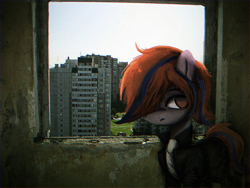 Size: 1280x960 | Tagged: safe, artist:menalia, oc, oc only, unnamed oc, earth pony, pony, aside glance, building, city, clothes, day, earth pony oc, female, hair over one eye, indoors, irl, jacket, looking at you, mare, pants, photo, plattenbau, ponies in real life, shirt, solo, standing, uptown, window
