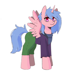 Size: 2048x2048 | Tagged: safe, artist:vaiola, oc, oc only, alicorn, pony, alicorn oc, avatar, cargo pants, clothes, commission, eyebrows, female, full body, high res, horn, jacket, looking at you, mare, pants, simple background, solo, standing, sweater, tail, transparent background, wings