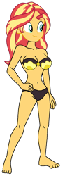 Size: 507x1410 | Tagged: safe, artist:matik1982, sunset shimmer, human, equestria girls, g4, bikini, bra, breasts, clothes, female, simple background, smiling, solo, swimsuit, transparent background, underwear