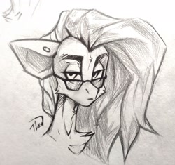 Size: 3921x3678 | Tagged: safe, artist:tlen borowski, oc, oc only, oc:star dust, pegasus, pony, black and white, bust, chest fluff, commission, ear piercing, eyebrows, femboy, glasses, grayscale, grin, high res, long mane, looking at something, loose hair, male, monochrome, pegasus oc, piercing, portrait, simple background, sketch, solo, sternocleidomastoid, traditional art