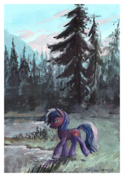 Size: 1024x1463 | Tagged: safe, artist:satynapaper, oc, oc only, oc:proudy hooves, earth pony, pony, 2015, earth pony oc, forest, gouache, green eyes, lake, looking back, male, nature, scenery, smiling, solo, stallion, traditional art, tree, water, ych result