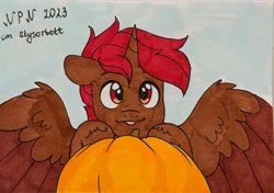 Size: 3132x2200 | Tagged: safe, artist:skysorbett, oc, oc only, oc:hardy, alicorn, pony, :p, high res, looking at you, male, marker drawing, pumpkin, solo, spread wings, stallion, tongue out, traditional art, wings
