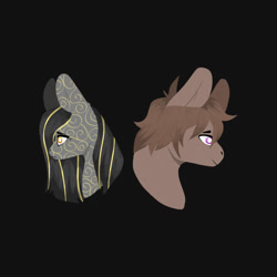 Size: 2000x2000 | Tagged: safe, artist:uvutea, oc, oc only, pony, vylet pony, black background, bodypaint, bust, duo, filigree, high res, portrait, profile, simple background