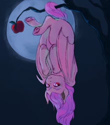 Size: 1059x1200 | Tagged: safe, artist:abbytabbys, fluttershy, bat pony, pony, g4, apple, bat ponified, bat wings, colored hooves, ear fluff, eyebrows, eyelashes, fangs, female, flutterbat, food, full moon, hanging, hanging upside down, hoof heart, hooves to the chest, looking at you, mare, missing cutie mark, moon, night, outdoors, prehensile tail, race swap, solo, tail, tree, tree branch, underhoof, unshorn fetlocks, upside down, wings