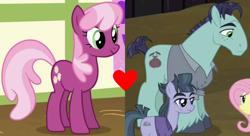 Size: 1600x872 | Tagged: safe, edit, edited screencap, screencap, buzzsaw mccolt, cheerilee, fluttershy, hammerhead mccolt, earth pony, pegasus, pony, g4, the hooffields and mccolts, background pony, clothes, crack shipping, cropped, female, heart, hearts and hooves day, male, mare, mccolt family, ship:hammerilee, shipping, shipping domino, short tail, stallion, straight, tail, unshorn fetlocks
