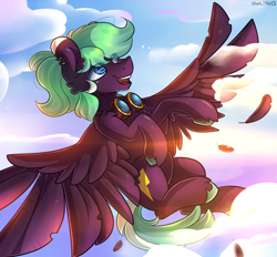Size: 2400x2225 | Tagged: safe, artist:yuris, pegasus, pony, flying, high res, male, open mouth, sky, smiling, solo, spread wings, trade, wings