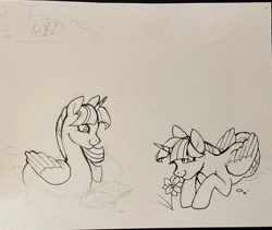 Size: 2048x1730 | Tagged: safe, artist:clowncarpal, twilight sparkle, alicorn, pony, g4, book, cloud, female, flower, lying down, mare, on a cloud, prone, reading, simple background, sketch, solo, traditional art, twilight sparkle (alicorn)