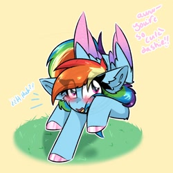 Size: 2000x2000 | Tagged: safe, artist:jubyskylines, rainbow dash, pegasus, pony, g4, bashful, blushing, colored hooves, colored wings, colored wingtips, cute, cute little fangs, dialogue, ear fluff, fangs, female, high res, mare, open mouth, solo, wings