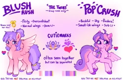 Size: 1401x911 | Tagged: safe, artist:sekuponi, oc, oc only, oc:blush rush, oc:pop crush, pegasus, pony, braid, chest fluff, ear fluff, female, gradient background, mare, ponytail, reference sheet, unshorn fetlocks, wing fluff, wings