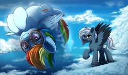 Size: 5123x3016 | Tagged: safe, artist:dinoalpaka, rainbow dash, oc, oc:tempest streamrider, pegasus, pony, g4, cloud, duo, female, flying, glasses, male, mare, open mouth, perspective, sky, stallion, wings