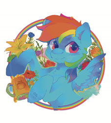 Size: 1500x1651 | Tagged: safe, artist:noblecrumble, rainbow dash, pegasus, pony, g4, bust, cider, flower, portrait