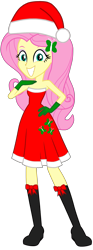 Size: 1121x3005 | Tagged: safe, artist:fireluigi29, fluttershy, human, equestria girls, g4, christmas, clothes, dress, female, gloves, hat, holiday, santa hat, shoes, simple background, socks, solo, transparent background