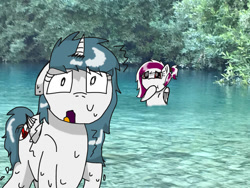 Size: 749x562 | Tagged: safe, artist:foxfer64_yt, oc, oc only, oc:nara (fl), oc:sakura (fl), alicorn, pegasus, pony, cold, ears back, freezing, lake, photo, raised hoof, shaking, smiling, smirk, swimming, water, wet, wet mane