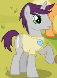 Size: 370x507 | Tagged: safe, screencap, applejack, written script, pony, unicorn, g4, season 2, the mysterious mare do well, cheering, clothes, cropped, male, offscreen character, rainbow dash fanclub, raised hoof, shirt, solo focus, stallion, standing