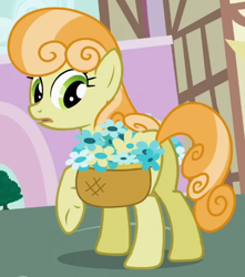 Size: 466x528 | Tagged: safe, screencap, junebug, earth pony, pony, g4, season 2, secret of my excess, basket, butt, cropped, female, flower, frown, junebutt, looking back, mare, offscreen character, open mouth, ponyville, raised hoof, solo, standing