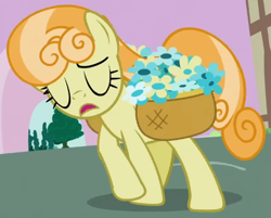 Size: 483x389 | Tagged: safe, screencap, junebug, earth pony, pony, g4, season 2, secret of my excess, animation error, basket, cropped, eyes closed, female, flower, frown, mare, open mouth, ponyville, solo, turning