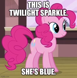 Size: 500x510 | Tagged: safe, edit, edited screencap, screencap, pinkie pie, earth pony, pony, g4, season 4, three's a crowd, blatant lies, caption, cowboy bebop at his computer, cropped, female, image macro, imgflip, implied twilight sparkle, mare, not twilight sparkle, op is on drugs, op isn't even trying anymore, sarcasm in the comments, smiling, solo, standing, text