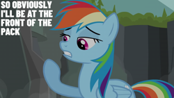 Size: 2000x1125 | Tagged: safe, edit, edited screencap, editor:quoterific, screencap, rainbow dash, g4, may the best pet win, solo