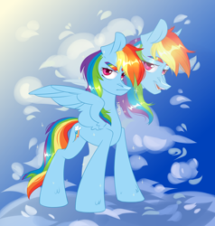 Size: 4000x4200 | Tagged: safe, artist:k0potb, rainbow dash, pegasus, pony, g4, chest fluff, cloud, colored, cute, dashabetes, ear fluff, eyebrows, female, looking at you, mare, multicolored hair, rainbow hair, red eyes, serious, serious face, signature, sky, smiling, smiling at you, solo, spread wings, wings