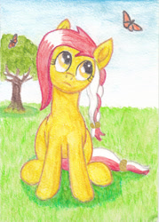 Size: 1024x1431 | Tagged: safe, artist:malte279, oc, oc only, oc:colonia, butterfly, earth pony, monarch butterfly, earth pony oc, mascot, solo, traditional art, tree, watercolor painting