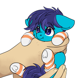 Size: 2197x2223 | Tagged: safe, artist:rokosmith26, oc, oc only, oc:open air, human, pegasus, pony, cheek fluff, commission, cute, ear fluff, floppy ears, hand, high res, holding, holding a pony, in goliath's palm, light skin, looking up, male, simple background, size difference, smol, solo, stallion, tail, tiny, tiny ponies, transparent background, ych result