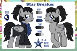 Size: 1200x798 | Tagged: safe, artist:jennieoo, oc, oc only, oc:star breaker, pegasus, pony, g4, blue eyes, closed mouth, clothes, coat, color palette, commission, cutie mark, folded wings, freckles, jacket, leather, leather jacket, looking at you, male, pegasus oc, ponytail, reference sheet, scarf, smiling, smiling at you, solo, stallion, vector, wings
