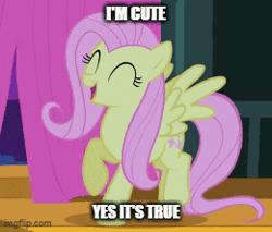 Size: 260x221 | Tagged: safe, edit, fluttershy, pegasus, filli vanilli, g4, animaniacs, animated, caption, cute, dancing, eyes closed, female, flutterguy, happy, image macro, imgflip, impact font, shyabetes, singing, smiling, song reference, text
