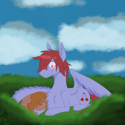 Size: 2600x2600 | Tagged: safe, oc, earth pony, pegasus, blushing, chest fluff, duo, duo male and female, female, high res, male, smiling, wholesome, wing blanket, winghug, wings