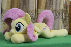 Size: 5184x3456 | Tagged: safe, artist:azgchip, fluttershy, pegasus, pony, g4, cute, female, irl, lying down, mare, photo, plushie, prone, shyabetes, solo, sploot