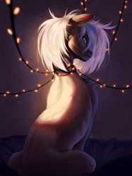 Size: 2000x2667 | Tagged: safe, artist:unt3n, oc, earth pony, pony, christmas, christmas lights, high res, holiday, looking back, solo