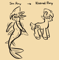 Size: 1280x1318 | Tagged: safe, artist:i-ate-a-purse, earth pony, pony, seapony (g4), cookie run, crossover, crown, dorsal fin, fangs, fin, fin wings, fins, fish tail, floppy ears, male, monochrome, ponified, scales, simple background, sorbet shark cookie, swimming, tail, text