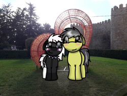 Size: 749x562 | Tagged: safe, artist:foxfer64_yt, oc, oc:onyxstar (fl), oc:thunder (fl), pegasus, pony, couple, cute, duo, ears back, female, grass, grass field, heart, irl, looking at each other, looking at someone, love, male, mare, park, photo, shipping, smiling, spain, stallion, tree