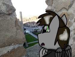 Size: 749x562 | Tagged: safe, artist:foxfer64_yt, oc, oc:razor uniboop, human, pegasus, pony, bipedal, car, city, confused, day, house, irl, park, photo, raised hoof, solo, spain, three quarter view, wall