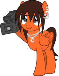 Size: 5000x6524 | Tagged: safe, artist:deyrasd, oc, oc only, pegasus, camera, pegasus oc, simple background, solo, transparent background